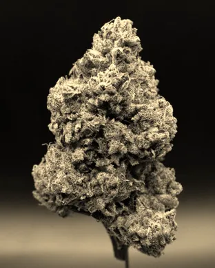 Cosmic Charlie