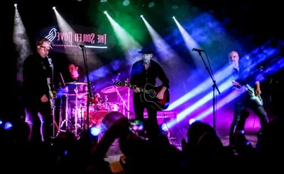Freddy Jones Band