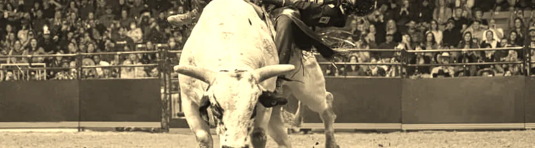 PBR: Teams Series