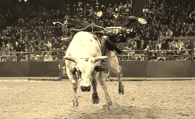 PBR: Teams Series