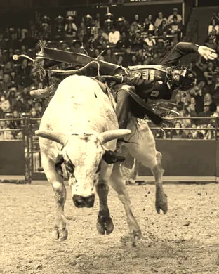 PBR: Teams Series sports event