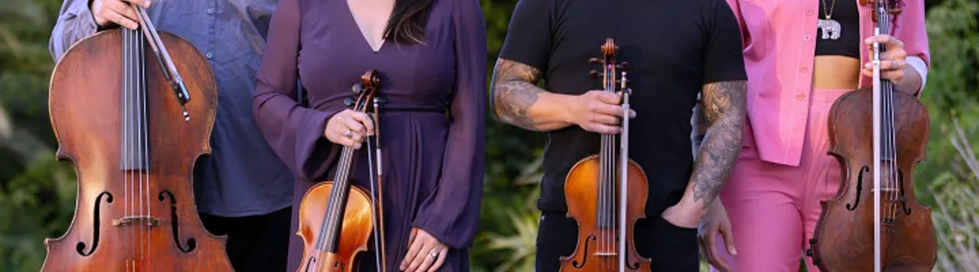 Vitamin String Quartet